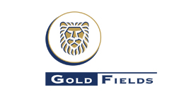 Gold Fields